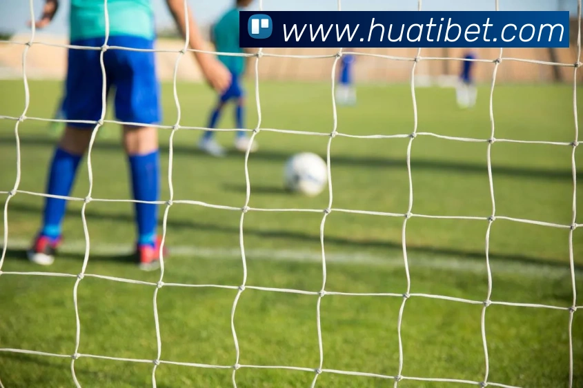 华体会体育APP 封面图